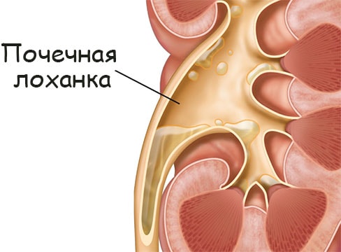 Кракен сайт что